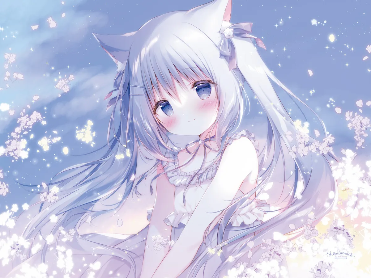 Banner image of the blog